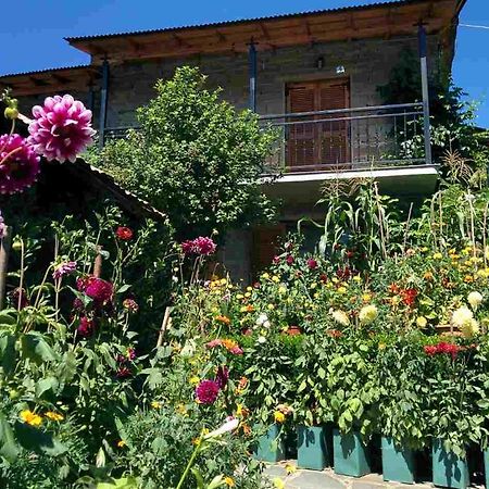 Guesthouse Gouris Tsepelovo Exterior foto
