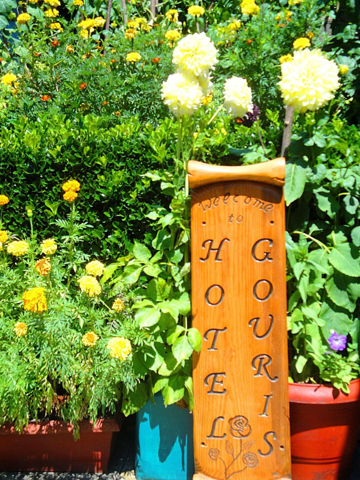 Guesthouse Gouris Tsepelovo Exterior foto