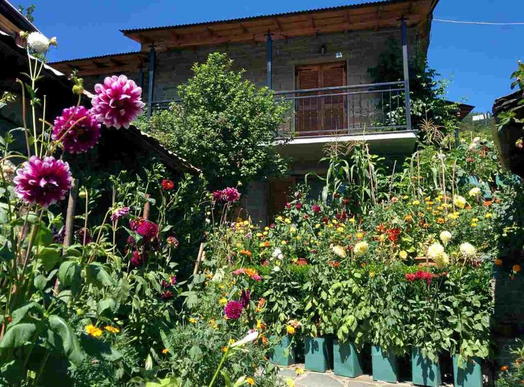 Guesthouse Gouris Tsepelovo Exterior foto