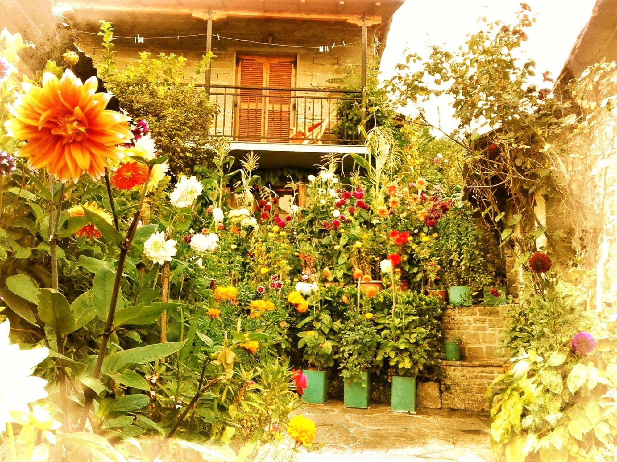 Guesthouse Gouris Tsepelovo Exterior foto