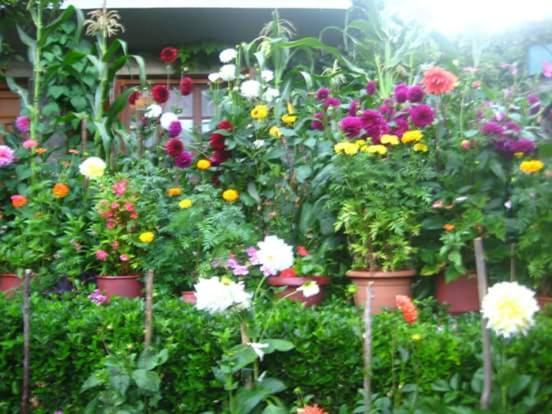 Guesthouse Gouris Tsepelovo Exterior foto