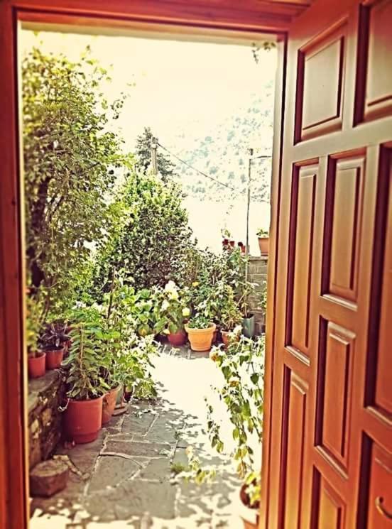 Guesthouse Gouris Tsepelovo Exterior foto